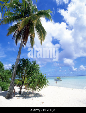 Tropischer Strand, Aitutaki Atoll, Cook-Inseln, Süd-Pazifik Stockfoto