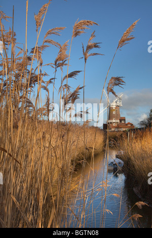 Cley Windmill und Cley Marshes Nature Reserve an der Nordküste von Norfolk England Großbritannien Stockfoto