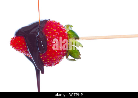 Erdbeeren in Schokolade getaucht. Isoliert auf weiss Stockfoto