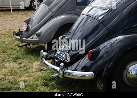 klassische VW Käfer bei Clubtreffen Budel Niederlande Sommer 2009 Stockfoto