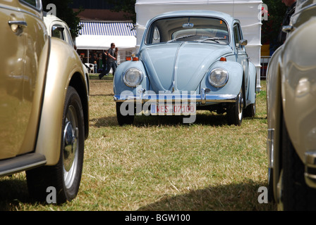 klassische VW Käfer bei Clubtreffen Budel Niederlande Sommer 2009 Stockfoto