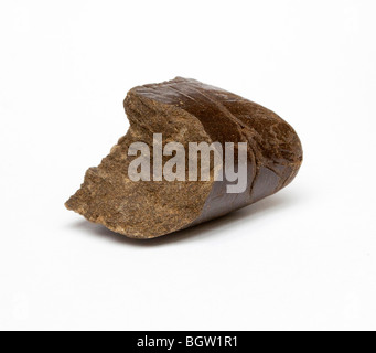 Cannabis / Marihuana / Haschisch Harz Stockfoto