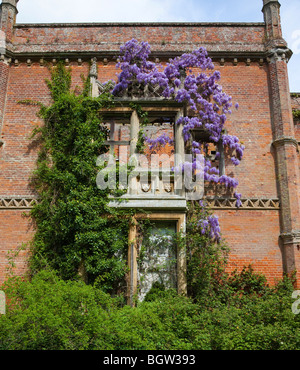 Glyzinien am Altbau Stockfoto