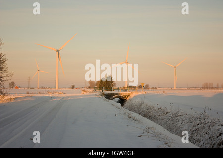 Rosa sonnenbeschienenen Windpark in einer flachen verschneiten Fenland Landschaft gegen einen schattigen Vordergrund Stockfoto