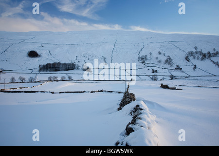 Yorkshire Dales Landschaft von Trockensteinmauern und Stein Scheune am Littondale nach Schneefällen, Winter 2009 09 North Yorkshire, UK Stockfoto