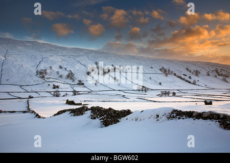 Yorkshire Dales Landschaft von Trockensteinmauern und Stein Scheune am Littondale nach Schneefällen, Winter 2009 09 North Yorkshire, UK Stockfoto