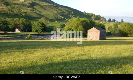 Swaledale, in der Nähe von Hawes, North Yorkshire, England Stockfoto