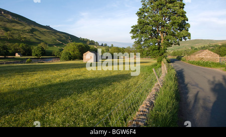 Swaledale, in der Nähe von Hawes, North Yorkshire, England Stockfoto