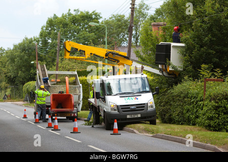 BTS Gruppe Arbeitnehmer schneiden überwucherte Hecke / Bäume unter Powerlines Stockfoto