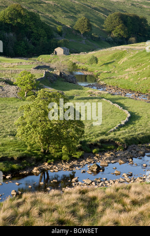 Swaledale, in der Nähe von Hawes, North Yorkshire, England Stockfoto