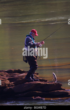 FLIEGENFISCHER ZU FUß AUF FELSEN IM FLUSS TRAGEN STRINGER VON FORELLEN CHATTAHOOCHEE RIVER GEORGIEN KNOCHEN TROCKEN WATVÖGELN KEIN MODEL-RELEASE Stockfoto