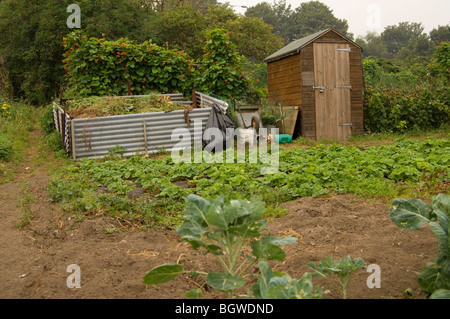 Zuteilung Plot zeigt Komposthaufen und Holzschuppen und im Hintergrund, Stangenbohnen und eine Erdbeere Bett im Vordergrund Stockfoto