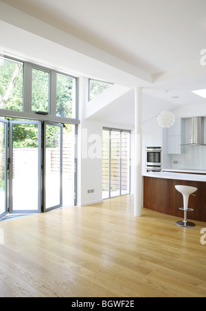 PRIVATHAUS, LONDON, VEREINIGTES KÖNIGREICH, DIE PIKE-PRAXIS Stockfoto