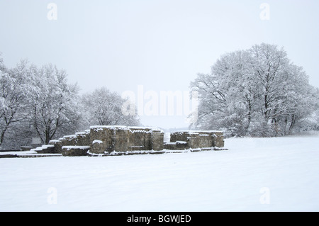 Limetten-Tür bei Dalkingen Stockfoto