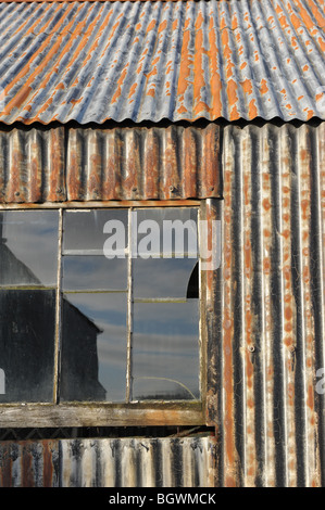 Rostige Wellblech Schuppen und kaputte Fenster Stockfoto