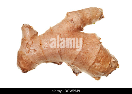 Ingwer-Wurzel auf einem reinen weißen Hintergrund isoliert Stockfoto