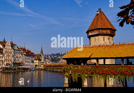 Famous Kapelbrucke Brücke genannt Kapellbrücke mit Schwäne am See in Luzern Schweiz Luzern Stockfoto