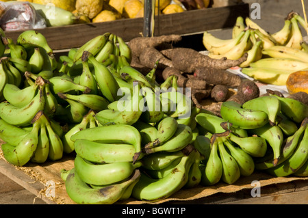 Bananen für den Verkauf auf dem Markt in Castries, St. Lucia, die Windward Islands, Karibik Stockfoto