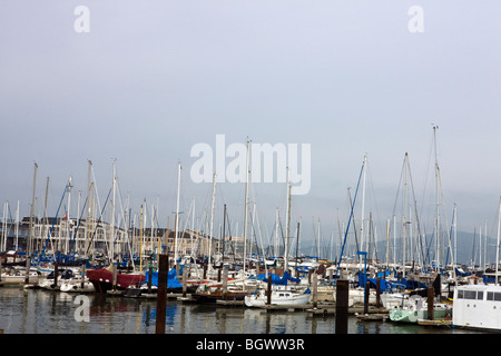Segelboote aufgereiht in einer Marina in der Nähe von Fishermans Wharf, Pier 39, San Francisco, Kalifornien. Stockfoto