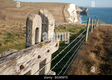 Die South West Coastal Path zwischen Osmington und Lulworth, Dorset, Großbritannien Stockfoto