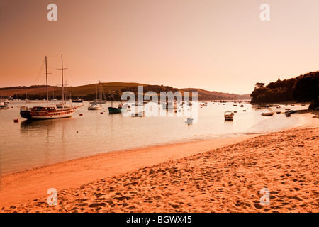 Salcombe Harbour und Ditchend Cove in der Nähe von East Portlemouth in Dawn, South Hams, Devon, England, Großbritannien Stockfoto