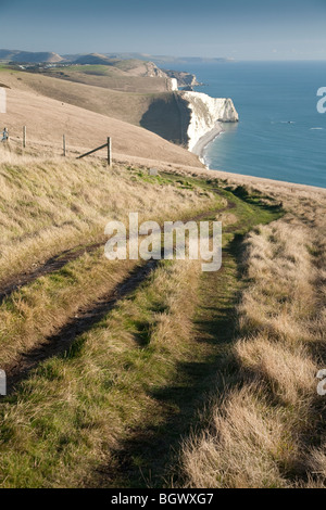 Die South West Coastal Path zwischen Osmington und Lulworth, Dorset, Großbritannien Stockfoto