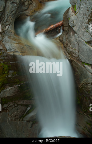 Christine verliebt sich in Mount Rainier Nationalpark Stockfoto