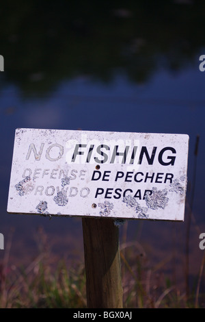 KEINE SPUR VON FISCHEN IN ENGLISCH UND SPANISCH MULTI-KULTI-ANGELN Stockfoto