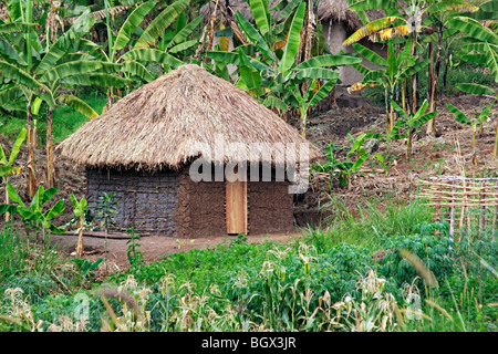 Haus, Uganda, Ostafrika Stockfoto