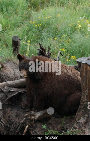 State Park Upper Peninsula Michigan MI oben von oben Bildern Fotos Bilder Fotografien sehr hochauflösendes vertikales Format in den USA Hi-res Stockfoto