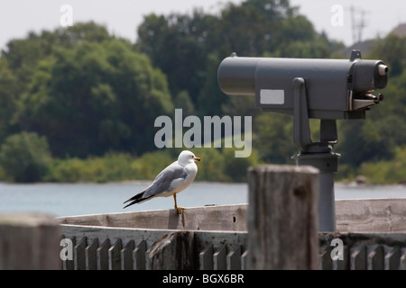 Wawatam der Leuchtturm St. Ignace am Lake Huron Upper Peninsula Michigan MI in den USA die Möwen der Great Lakes stehen am Pier hrizontal Hi-res Stockfoto