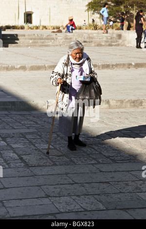 schön gekleidet sehr alten indigenen mexikanischen Indianerin stützte sich auf Zuckerrohr Kreuze Plaza an sonnigen Tag in Oaxaca-Stadt Mexiko Stockfoto
