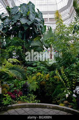 Das CONSERVATORY OF FLOWERS ist ein botanisches Gewächshaus befindet sich im GOLDEN GATE PARK - SAN FRANCISCO, Kalifornien Stockfoto