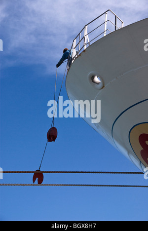 Ein Besatzungsmitglied am Bug eines Schiffes stellt Ratte Wachen an Seilen gleich nach Ankunft im Hafen festmachen. Stockfoto