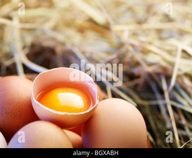 Hühnereier im Stroh mit halben eine gebrochene Ei im Morgenlicht. Stockfoto