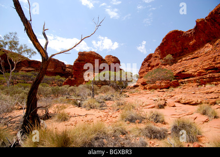 Kings Canyon Stockfoto