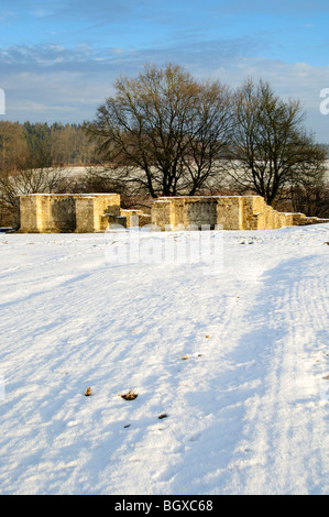 Limetten-Tür bei Rainau-Dalkingen Stockfoto