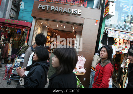 Paradies-Tierhandlung in Takeshita Dori, Bezirk Harajuku, Tokio, Japan, auf Montag, 19. Februar 2007. Stockfoto