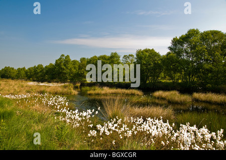 Reserve ewigen Meer Stockfoto