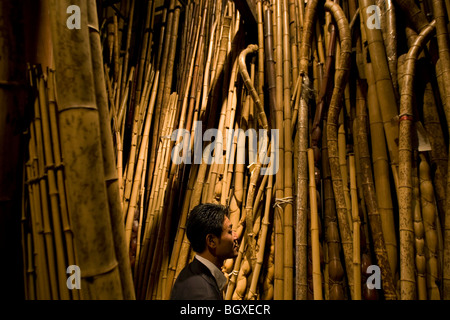 Junji Kagata, Takehei Bambus, im Lager, wo das Unternehmen seine Sammlung von Bambus, Kyoto, Japan speichert. Stockfoto