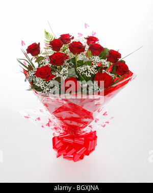 Ein Dutzend rote Rosen zum Valentinstag. Blumen auf weißem Hintergrund Stockfoto