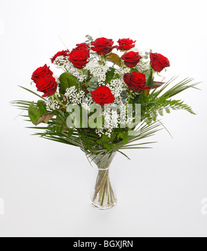 Ein Dutzend rote Rosen zum Valentinstag. Blumen auf weißem Hintergrund Stockfoto