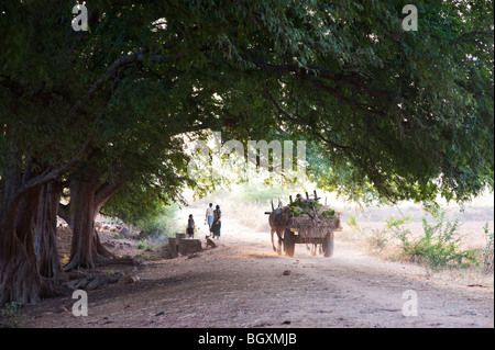 Ochsenkarren auf einem staubigen Lane unter einem Baum in der indischen Landschaft. Andhra Pradesh, Indien Stockfoto