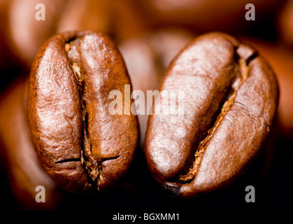 Kaffee Bohnen Stockfoto