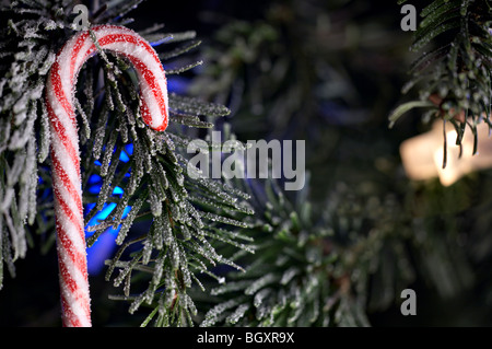 Weihnachts-Dekoration Stockfoto