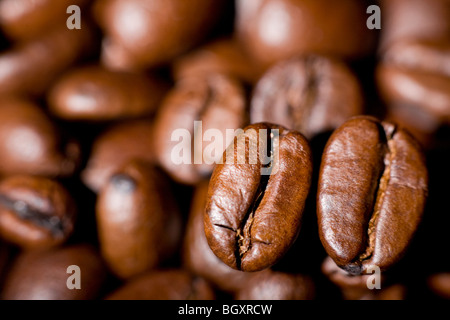 Kaffee Bohnen Stockfoto