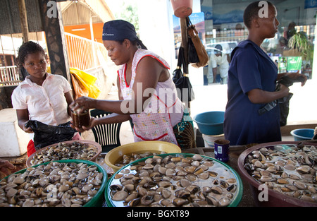 Fisch Markt, Maputo, Mosambik, Ost-Afrika Stockfoto