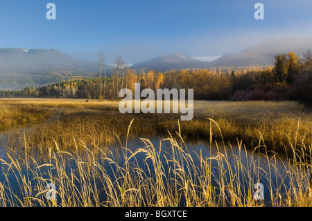 Swan-Bereich im frühen Morgen-Swan River National Wildlife Refuge-Montana Stockfoto