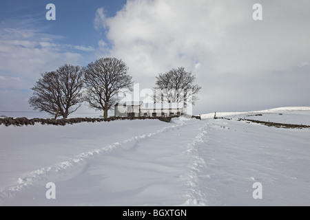 Die Strecke zwischen Bowlees und Asche Hügel im Winter Schnee Teesdale County Durham Stockfoto