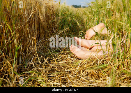 Füße heben sich aus einem Weizenfeld Stockfoto